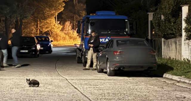 ΣΤΟΝ ΔΙΟΝΥΣΟ ΒΡΕΘΗΚΕ ΤΟ ΑΥΤΟΚΙΝΗΤΟ ΠΟΥ ΠΥΡΟΒΟΛΗΣΑΝ ΣΤΗ ΝΕΑ ΜΑΚΡΗ, ΑΝΗΚΕΙ ΣΕ ΤΟΥΡΚΑΛΑ, ΔΕΙΤΕ ΒΙΝΤΕΟ