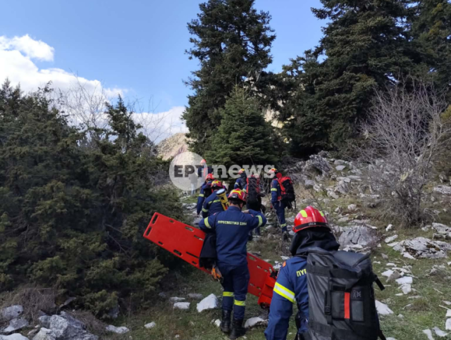 &Sigma;&tau;&omicron; &nu;&omicron;&sigma;&omicron;&kappa;&omicron;&mu;&epsilon;ί&omicron; &tau;&omicron;&upsilon; &Rho;ί&omicron; &mu;&epsilon; &epsilon;&lambda;&iota;&kappa;ό&pi;&tau;&epsilon;&rho;&omicron; &mu;&epsilon;&tau;&alpha;&phi;έ&rho;&theta;&eta;&kappa;&epsilon; &omicron; 56&chi;&rho;&omicron;&nu;&omicron;&sigmaf; &omicron;&rho;&epsilon;&iota;&beta;ά&tau;&eta;&sigmaf; &pi;&omicron;&upsilon; &tau;&rho;&alpha;&upsilon;&mu;&alpha;&tau;ί&sigma;&tau;&eta;&kappa;&epsilon; &sigma;&tau;&omicron; &Alpha;&gamma;&rho;ί&nu;&iota;&omicron;, &delta;&epsilon;ί&tau;&epsilon; &beta;ί&nu;&tau;&epsilon;&omicron;