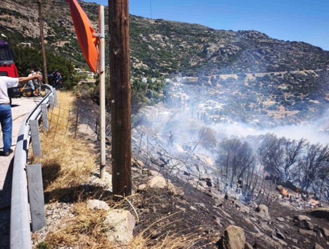 Φωτιά τώρα στην Άνδρο, 112 για εκκένωση της Παλαιόπολης | Επικαιρότητα στο PlusTV.gr