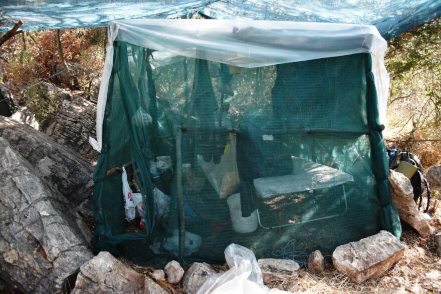 Μεσσηνία: Συνελήφθη 44χρονος Αλβανός για καλλιέργεια δενδρυλλίων κάνναβης - Δείτε βίντεο
