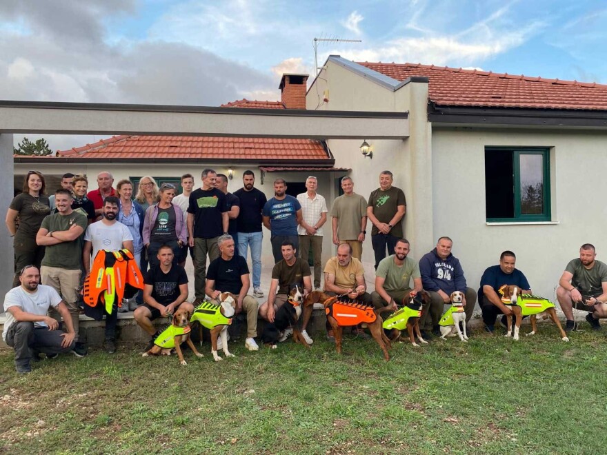 Θεσσαλονίκη: Φωσφοριζέ γιλέκα με καρφιά για κυνηγόσκυλα προστατεύουν από δαγκώματα λύκων
