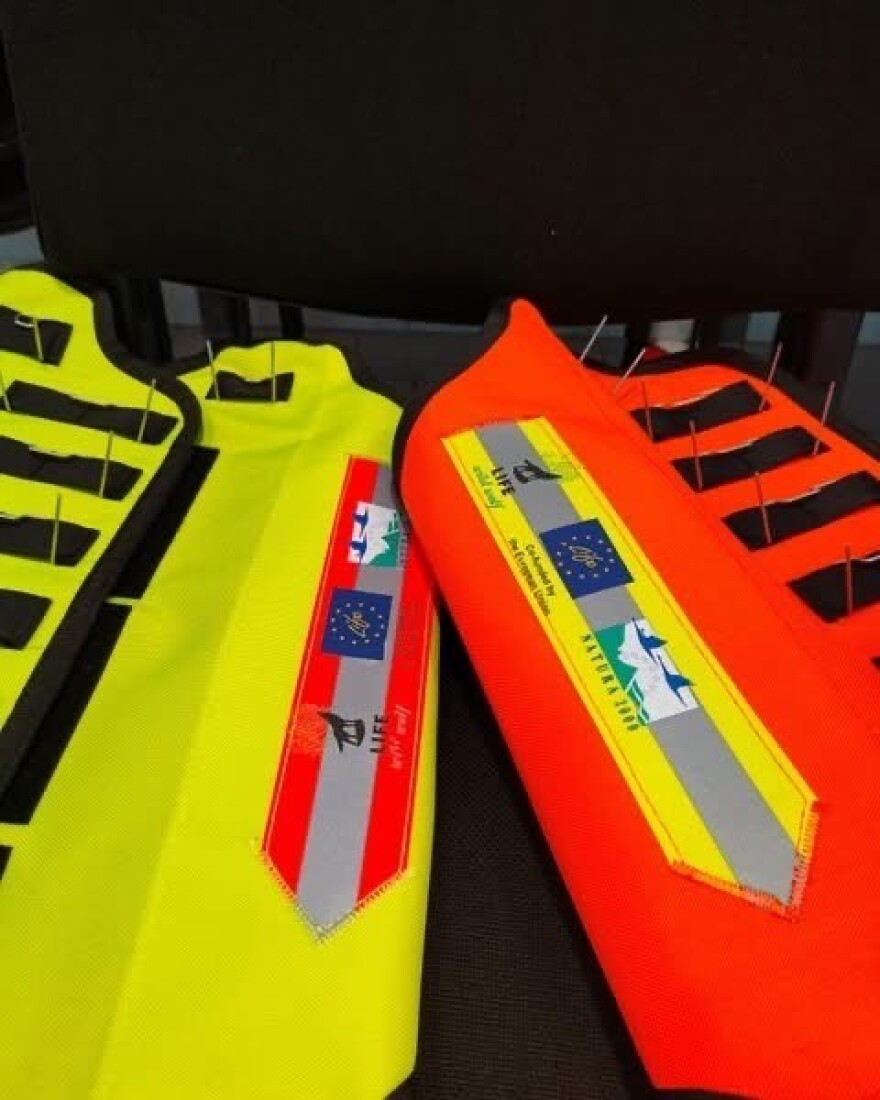 Θεσσαλονίκη: Φωσφοριζέ γιλέκα με καρφιά για κυνηγόσκυλα προστατεύουν από δαγκώματα λύκων
