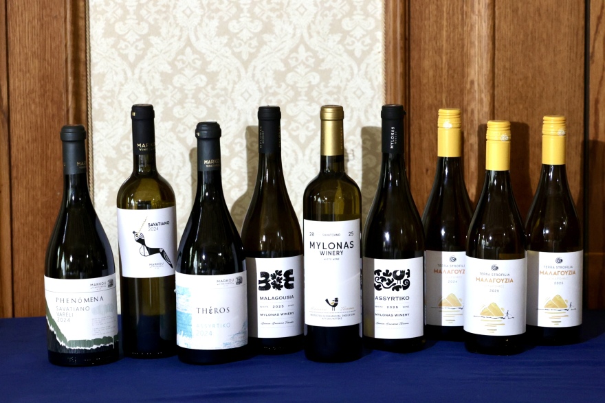 Χαρδαλιάς: Ο αττικός αμπελώνας είναι κρίκος της ταυτότητάς μας, επενδύουμε στο έργο των οινοπαραγωγών μας