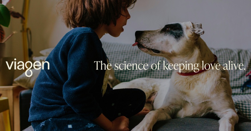 Κλωνοποίηση κατοικίδιων: Από τη Μπάρμπρα Στρέιζαντ, τον Μιλέι και τον Τομ Μπρέιντι, σε μια βιομηχανία δισεκατομμυρίων