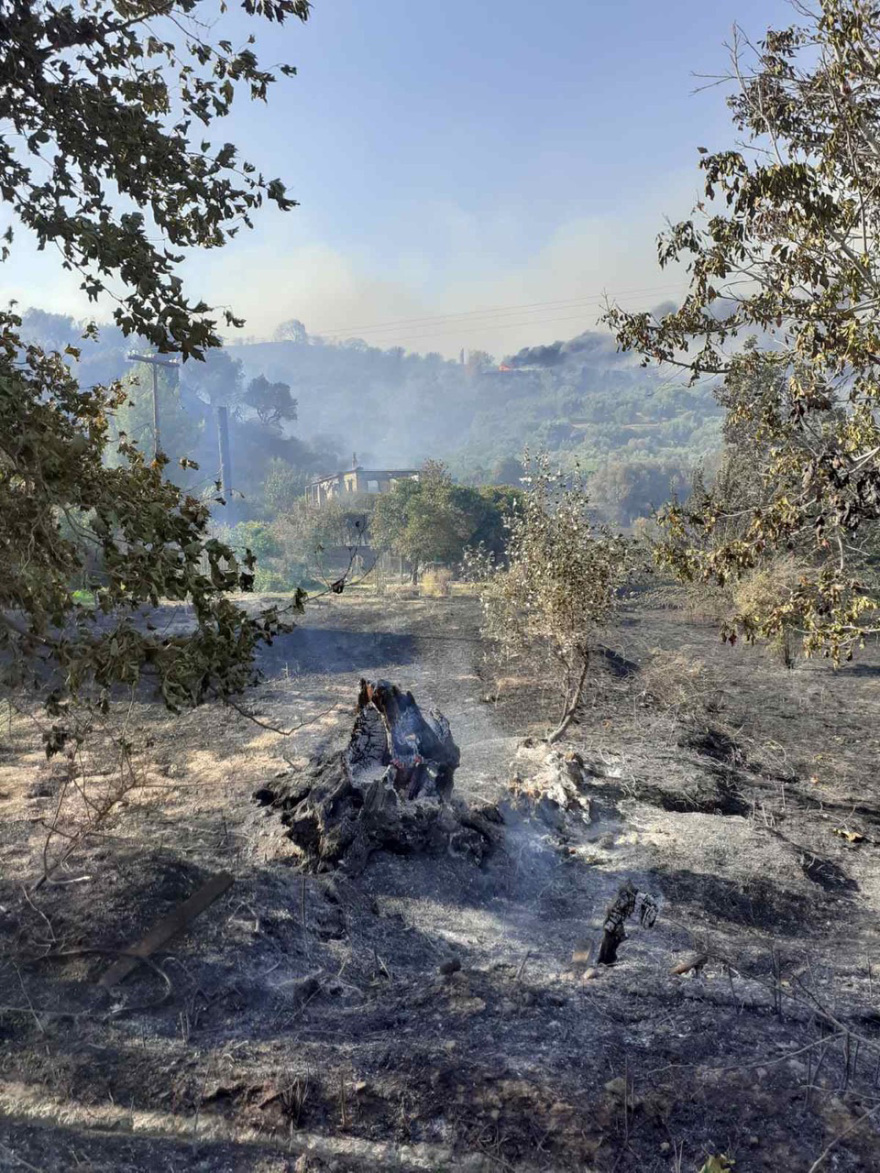 Μεγάλη φωτιά στην Αχαΐα: Με δυνάμεις από όλη την Ελλάδα ενισχύεται η προσπάθεια κατάσβεσης - Κάηκαν σπίτια και εκκενώθηκαν χωριά - 5 άνθρωποι στο νοσοκομείο