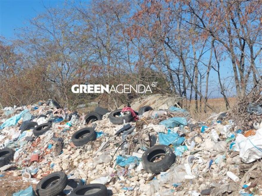 Πέλλα: Μπάζα δίπλα στον Μακεδονικό Τάφο Δ' - Δείτε βίντεο και φωτογραφίες