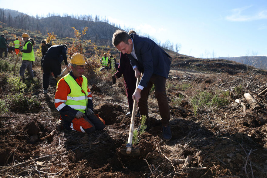 Η Lidl Ελλάς συμμετέχει ενεργά στην αναδάσωση και αποκατάσταση των πληγεισών περιοχών της Βόρειας Εύβοιας