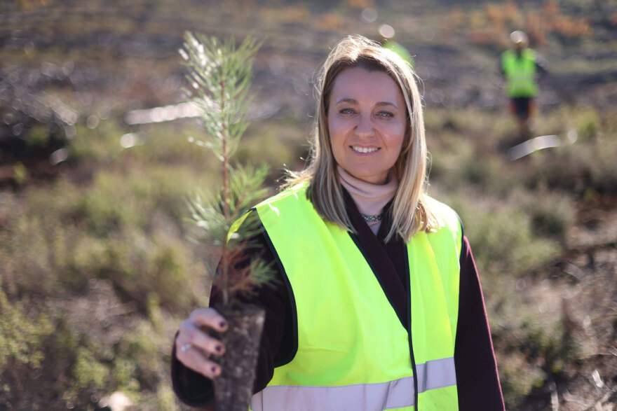 Η Lidl Ελλάς συμμετέχει ενεργά στην αναδάσωση και αποκατάσταση των πληγεισών περιοχών της Βόρειας Εύβοιας