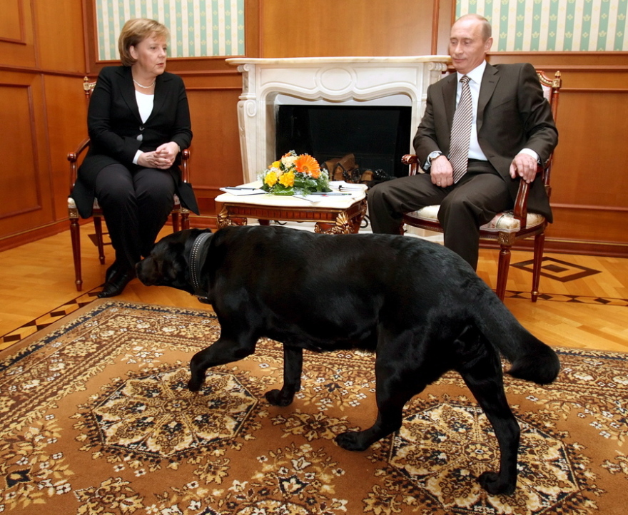 merkel_putin__dog