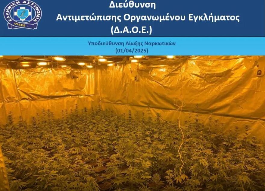 Εξαρθρώθηκε εγκληματική οργάνωση που διακινούσε SKUNK και κοκαΐνη σε Αττική και Κρήτη	