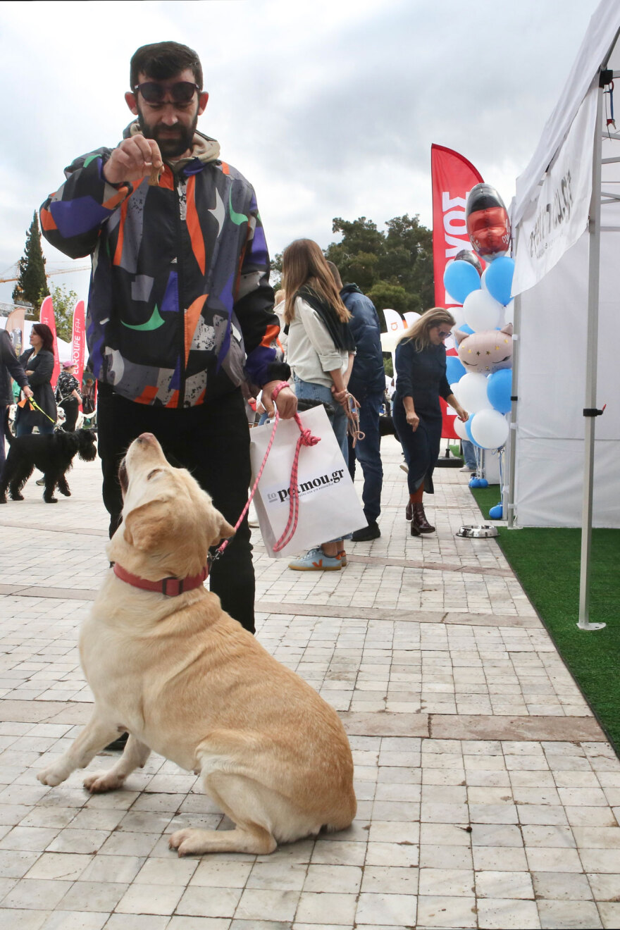 Ο Νίκος Χαρδαλιάς στη μεγάλη γιορτή για τα κατοικίδια, Woof Festival | topetmou.gr - Δείτε φωτογραφίες