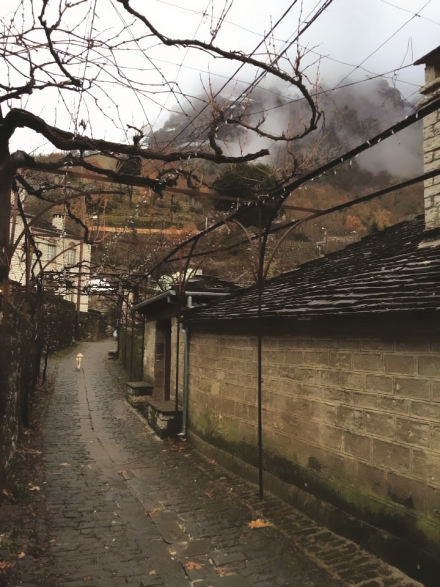 #SavePapigo: Εκστρατεία κατοίκων ενάντια στην κατασκευή μονάδας επεξεργασίας λυμάτων