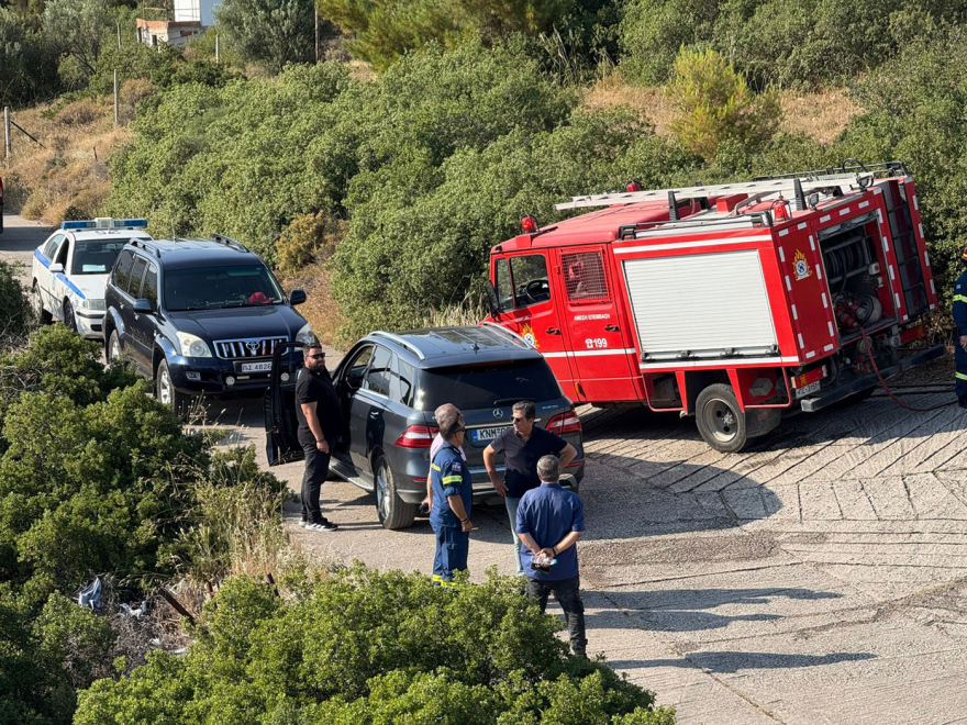Σε ύφεση η φωτιά στην Ευκαρπία Θεσσαλονίκης - Δείτε βίντεο και φωτογραφίες