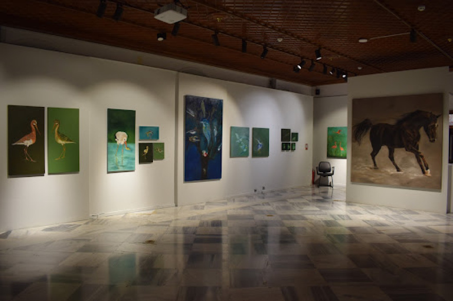 Όλγα Καραδήμου: Να σταματήσουμε την κακοποίηση και την εκμετάλλευση των ζώων 