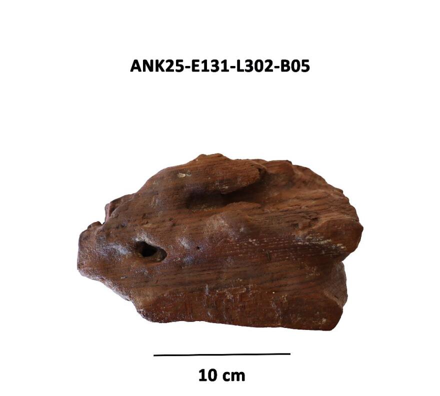 Ναυάγιο των Αντικυθήρων: Με σημαντικά ευρήματα ολοκληρώθηκε η τελευταία ενάλια έρευνα - Δείτε φωτογραφίες