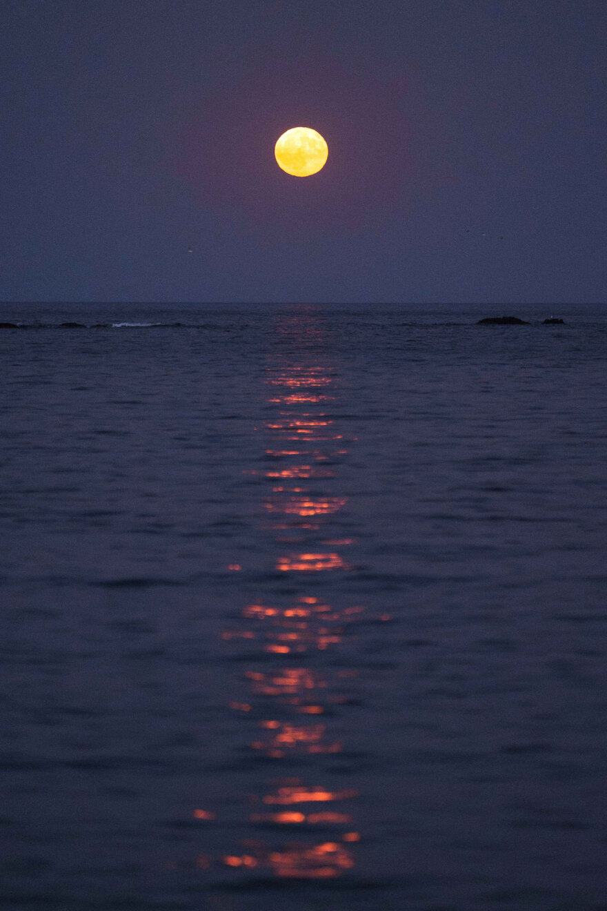 21_0010_20250809_tsk9600_sooc1754773334