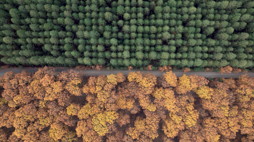 Ο Τάκης Γιαννέτος μας δείχνει την Ελλάδα από ψηλά