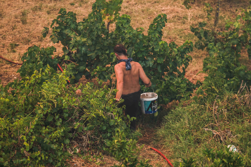Η τιτάνια μάχη πυροσβεστών και εθελοντών στα πύρινα μέτωπα - Βοηθούν μέχρι και με κουβάδες, δείτε φωτογραφίες