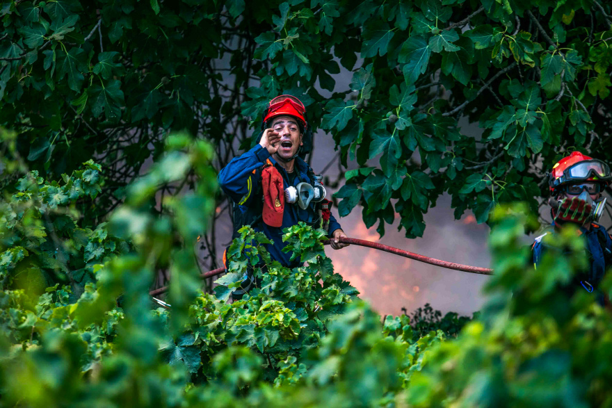 Η τιτάνια μάχη πυροσβεστών και εθελοντών στα πύρινα μέτωπα - Βοηθούν μέχρι και με κουβάδες, δείτε φωτογραφίες