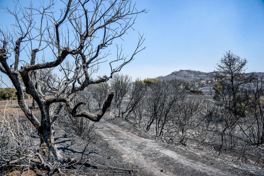 Εικόνες καταστροφής από τη φωτιά σε δυτική Ελλάδα και Χίο – Στάχτη έγιναν σπίτια, αυτοκίνητα, επιχειρήσεις και δάση