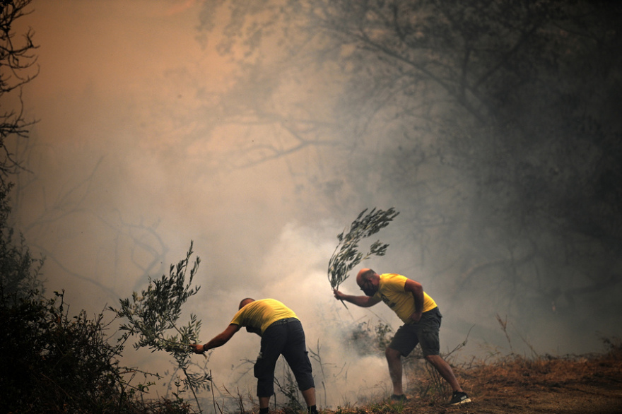 Η τιτάνια μάχη πυροσβεστών και εθελοντών στα πύρινα μέτωπα - Βοηθούν μέχρι και με κουβάδες, δείτε φωτογραφίες