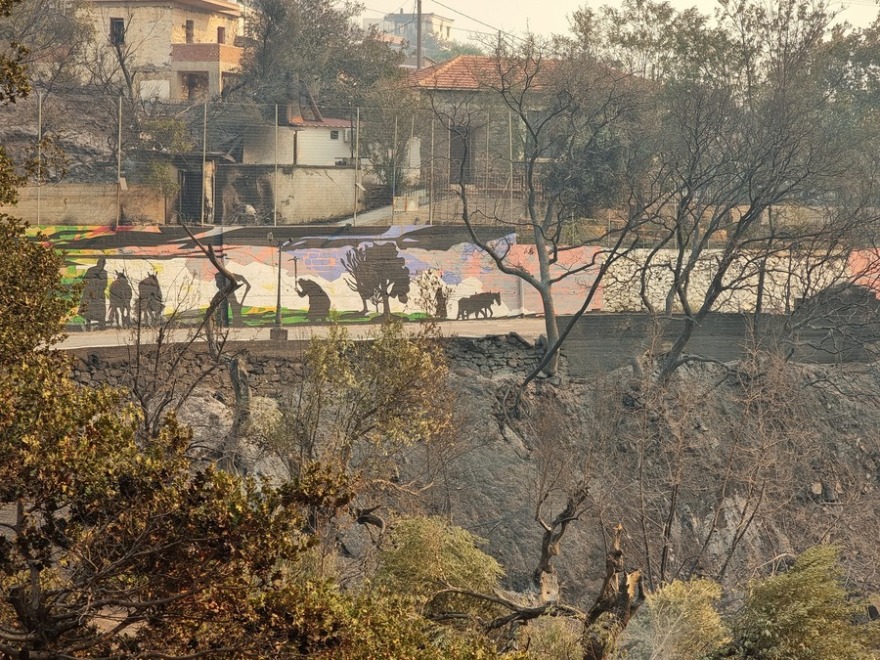 Εικόνες καταστροφής από τη φωτιά σε δυτική Ελλάδα και Χίο – Στάχτη έγιναν σπίτια, αυτοκίνητα, επιχειρήσεις και δάση