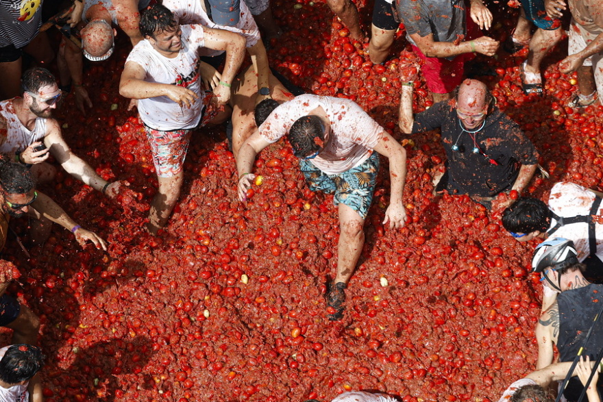tomatina-ispania5