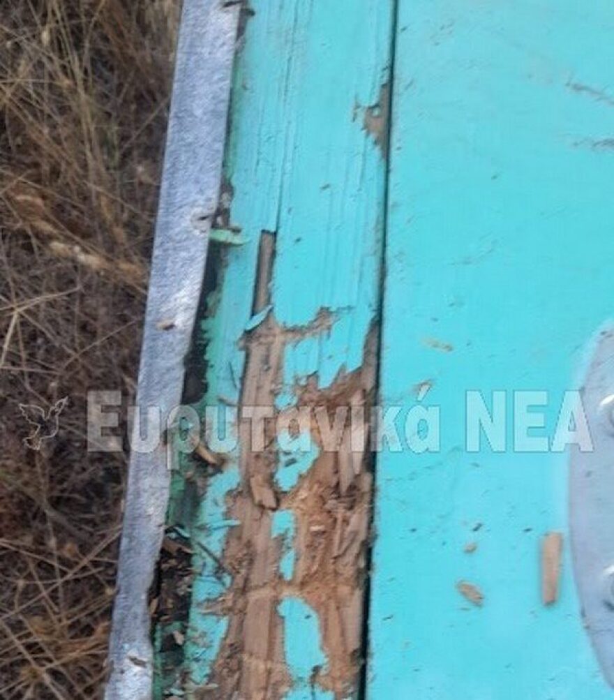 Καρπενήσι: Αρκούδα επιτέθηκε σε μελίσσια - Ανησυχία για κατοίκους και μελισσοκόμους