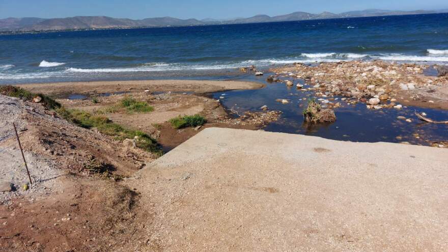 Εκχερσώσεις στην παραλία της Νέας Μάκρης για την κατασκευή αντλιοστάσιου λυμάτων του βιολογικού καθαρισμού 