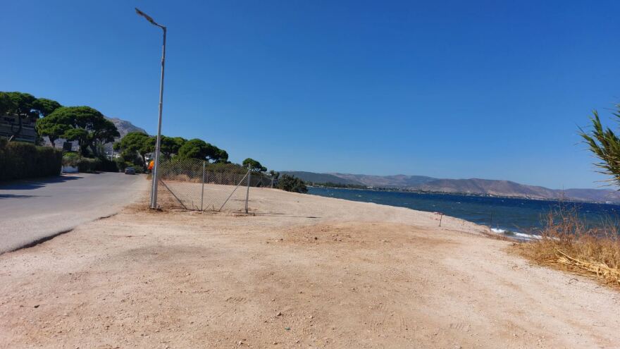 Εκχερσώσεις στην παραλία της Νέας Μάκρης για την κατασκευή αντλιοστάσιου λυμάτων του βιολογικού καθαρισμού 