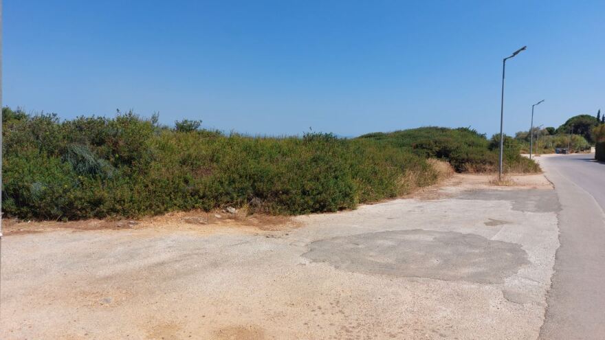 Εκχερσώσεις στην παραλία της Νέας Μάκρης για την κατασκευή αντλιοστάσιου λυμάτων του βιολογικού καθαρισμού 