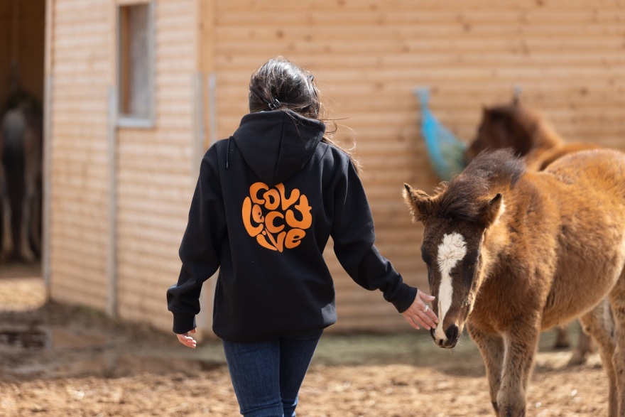 The Collective: Ένας χρόνος εθελοντικής δράσης και προσφοράς από την Kaizen Gaming