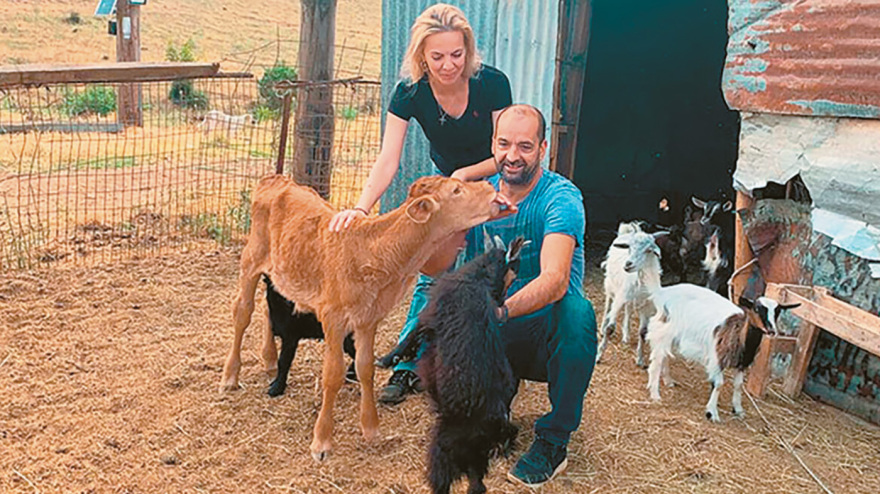 Υπόθεση ΟΠΕΚΕΠΕ: Οι καουμπόισσες από τα Τρίκαλα με τη Ferrari και τις Porsche - Το πόρισμα της Αρχής για Το Ξέπλυμα Χρήματος