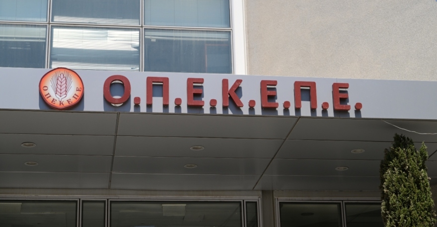 Από τις κουμπαριές με τον Ερντογάν στα Μνημόνια: Το νέο βιβλίο του πρέσβη Κασκαρέλη που τα έζησε όλα