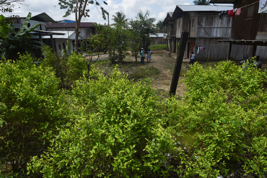 Στην πόλη Μεδεγίν, πατρίδα του Πάμπλο Εσκομπάρ τα ναρκωτικά πωλούνται ακόμα σαν… fast food