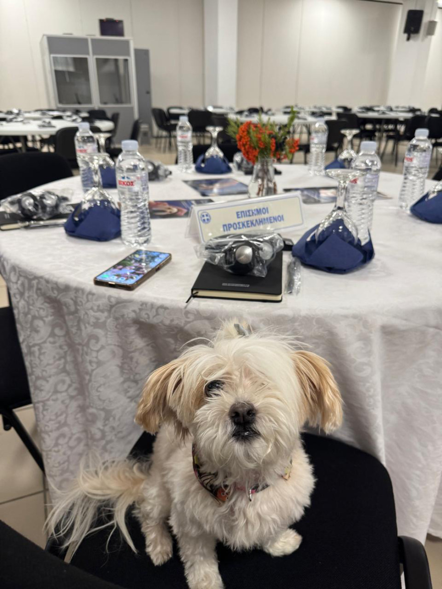 Διαδραστικό εργαστήριο για την προστασία των ζώων σε Αθήνα και Θεσσαλονίκη από το υπουργείο Προστασίας του Πολίτη