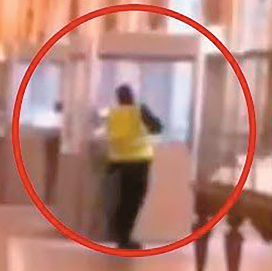 Οι μεγαλύτερες ληστείες μουσείων... πριν το Λούβρο - Ποια αριστουργήματα αγνοούνται ακόμη