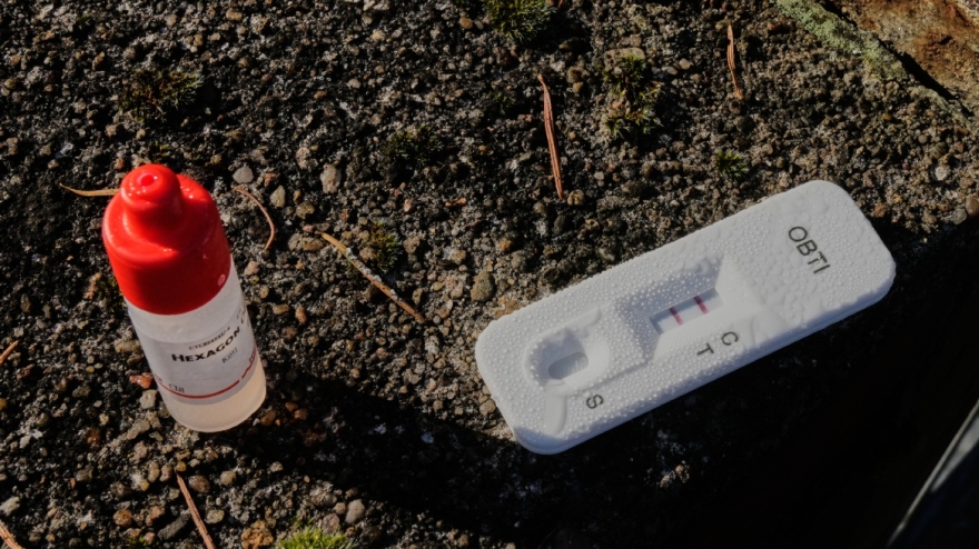 Γερμανία: Βρήκαν σβάστικες ζωγραφισμένες με αίμα σε αυτοκίνητα και τοίχους