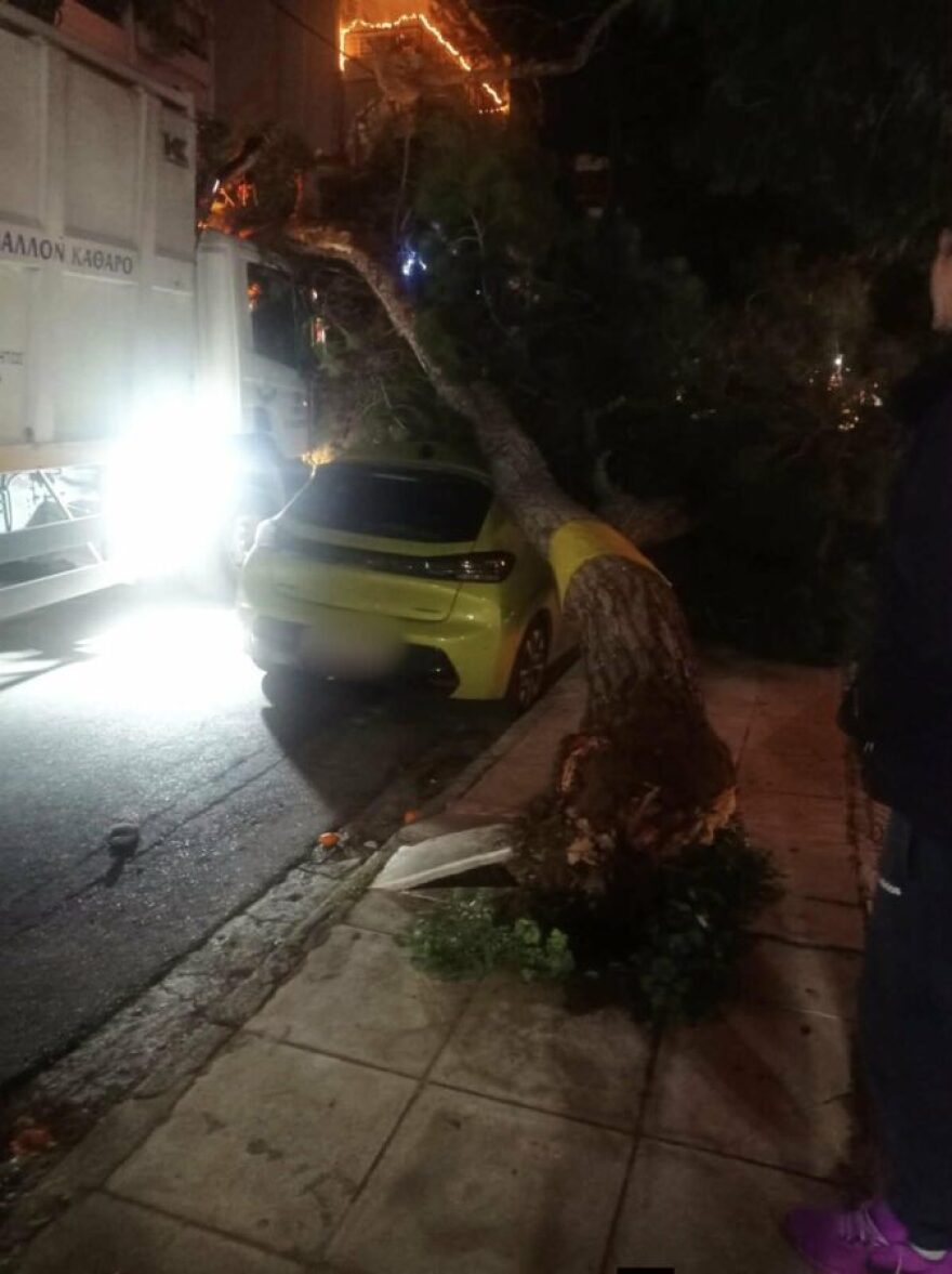 Μεγάλο πεύκο έπεσε σε απορριμματοφόρο και αυτοκίνητο στο Παλαιό Φάληρο, δείτε φωτογραφίες