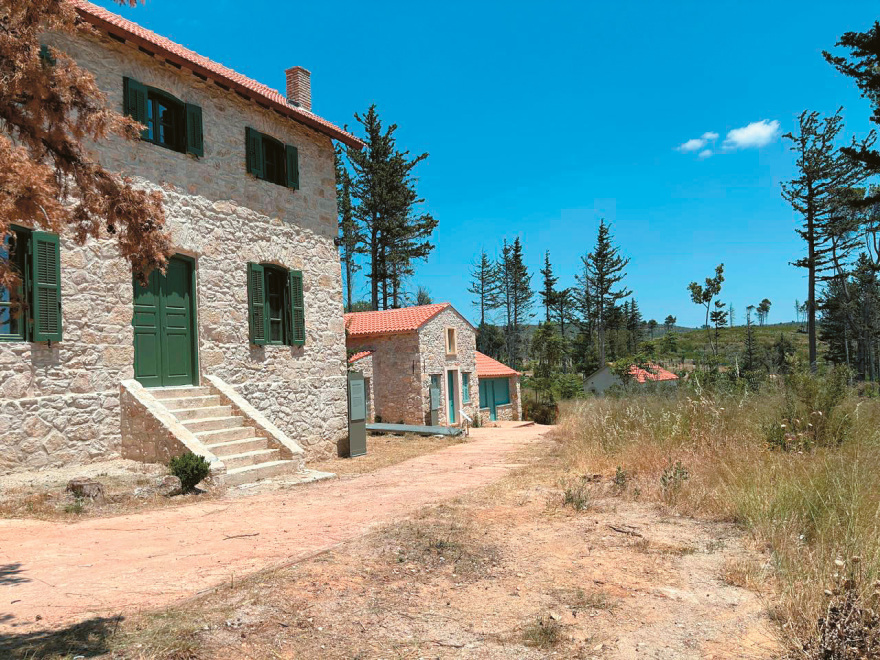 Πώς θα είναι το νέο Τατόι - Ανοιχτά ανάκτορα, μουσεία και πολιτισμός