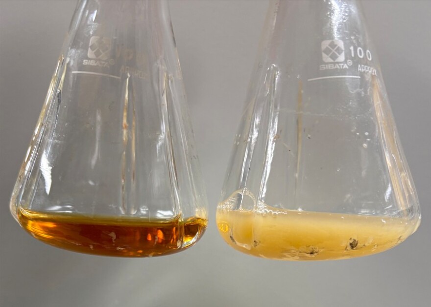 Επιστήμονες δημιούργησαν ενώσεις με αντικαρκινικές και αντιφλεγμονώδεις ιδιότητες από βακτήρια E.coli