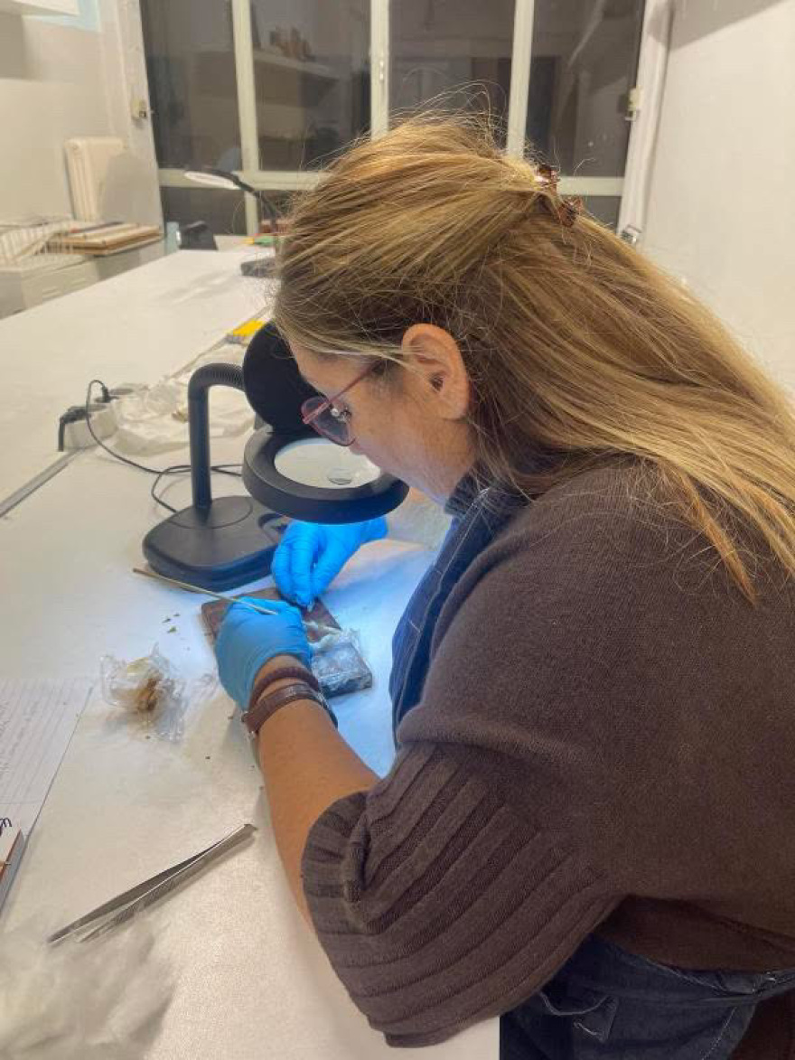 «Διάβαζα δίπλα στις χημειοθεραπείες»: Οι ιστορίες  ανθρώπων που μπήκαν στα αμφιθέατρα για δεύτερο πτυχίο μετά τα 40