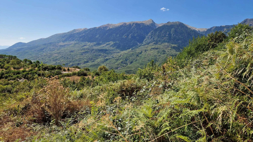 Η αποτυχημένη επιχείρηση του Εθνικού Στρατού στη Μουργκάνα, η εκτέλεση 120 ανδρών του από τον Δημοκρατικό Στρατό Ελλάδας και η απίστευτη ιστορία ενός 20χρονου (1948)