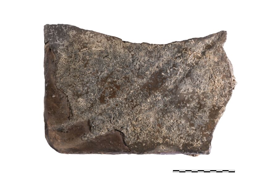 Νέο εύρημα στο ναυάγιο του πλοίου του Έλγιν στα Κύθηρα: Βρέθηκε θραύσμα πιθανόν από τον γλυπτό διάκοσμο του Παρθενώνα