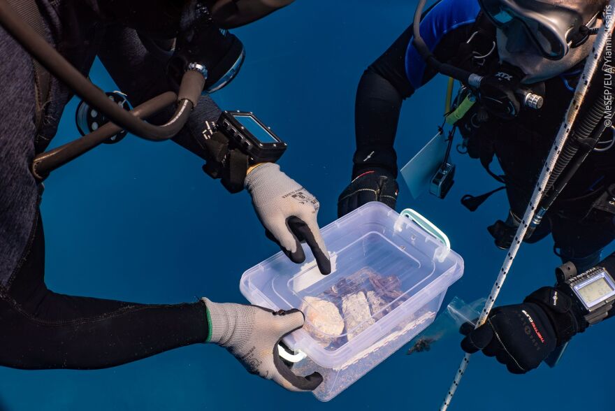 Νέο εύρημα στο ναυάγιο του πλοίου του Έλγιν στα Κύθηρα: Βρέθηκε θραύσμα πιθανόν από τον γλυπτό διάκοσμο του Παρθενώνα