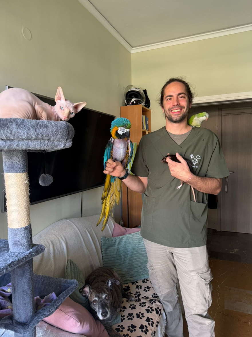 Ο κτηνίατρος που γύρισε από τη ζούγκλα: Ο Μανώλης Κουμαντάκης έσωσε μυρμηγκοφάγο στον Αμαζόνιο και τώρα περιθάλπει ιγκουάνα στην Αθήνα, δείτε φωτογραφίες