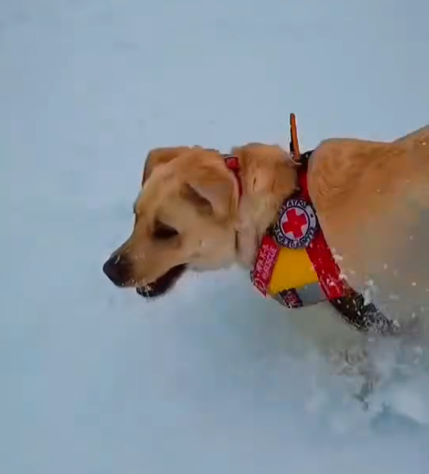 Εκπαίδευση επιβίωσης και διάσωσης του Ελληνικού Ερυθρού Σταυρού στον Όλυμπο, δείτε βίντεο και φωτογραφίες