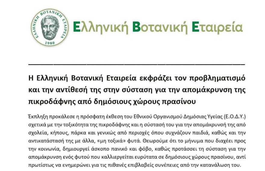 Πόλεμος για το «ξήλωμα» της πικροδάφνης από σχολεία, πεζοδρόμια και πλατείες - Αντιδρούν περιβαλλοντολόγοι, επιμένουν οι γιατροί
