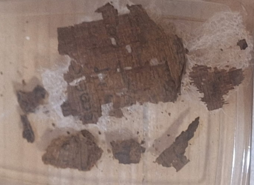 Το στομάχι της αιγυπτιακής μούμιας έκρυβε αντίγραφο της Ιλιάδας - Εμειναν άφωνοι οι αρχαιολόγοι 