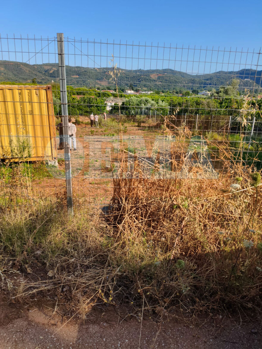 Βρέθηκε θαμμένη σε χωράφι η Σταυρούλα - Ομολόγησε ο 43χρονος ενοικιαστής 